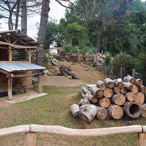 Non-walk-through section of the Patagonian mara exhibit, 2022-08-28