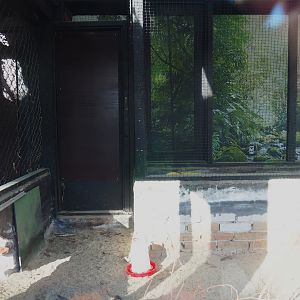 Elegant-crested tinamou exhibit, 2022-08-28