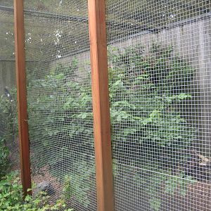 Westküstenpark - Mixed exotic aviary