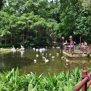 [CLOSED] Pelican Cove