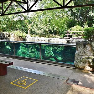 [CLOSED] Pelican Cove