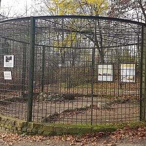 One of the oldest cages in zoo