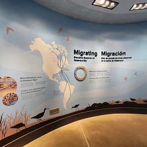 Bird House - Signage in the Delaware Bay Aviary Entrance.