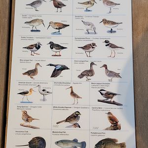 Bird House - Delaware Bay Aviary Species Guide