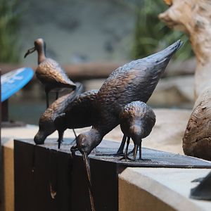 Bird House - Artwork in the Delaware Bay Aviary