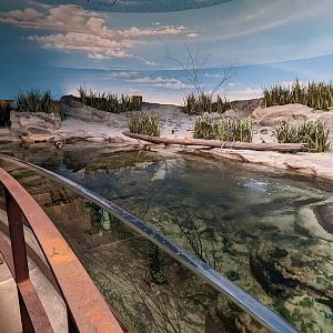 Bird House - View in the Delaware Bay Aviary
