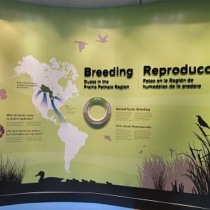 Bird House - Signage in the Prairie Pothole Aviary Entrance