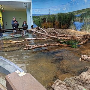 Bird House - View in the Prairie Pothole Aviary