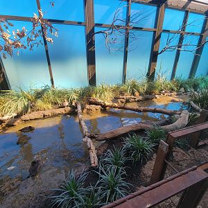Bird House - View in the Prairie Pothole Aviary