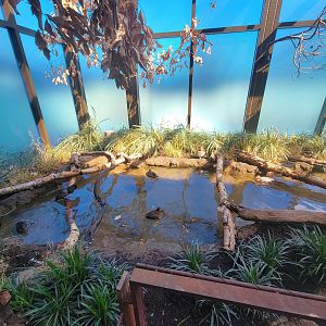 Bird House - View in the Prairie Pothole Aviary