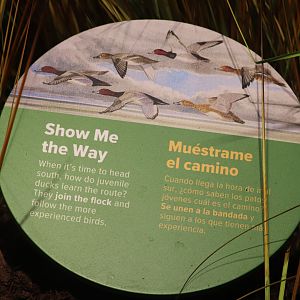 Bird House - Sign in the Prairie Pothole Aviary
