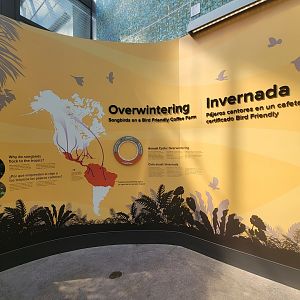 Bird House - Signage in the Coffee Farm Aviary Entrance