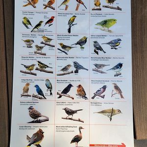 Bird House -  Coffee Farm Aviary Species Guide