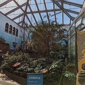 Bird House - View in the Coffee Farm Aviary