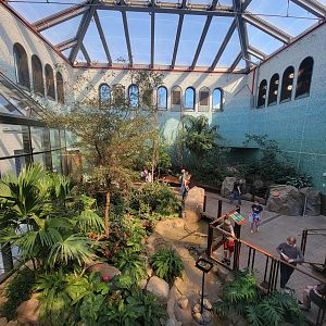 Bird House - View in the Coffee Farm Aviary