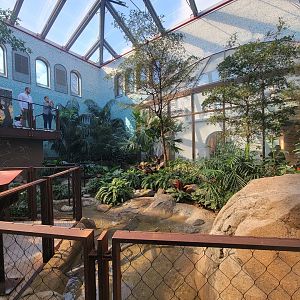 Bird House - View in the Coffee Farm Aviary