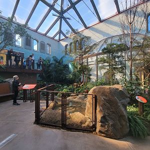 Bird House - View in the Coffee Farm Aviary