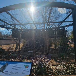 Bird House - Barred Owl Exhibit