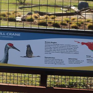 Bird House - Bird Plateau Signage Example