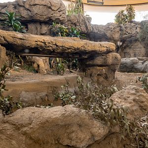 Komodo Kingdom: Mountain Highlands