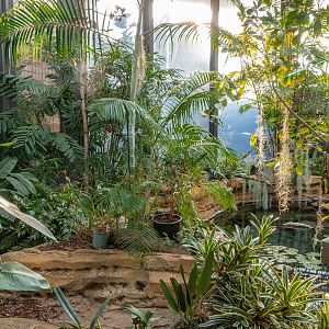 Hummingbird Habitat: entrance section