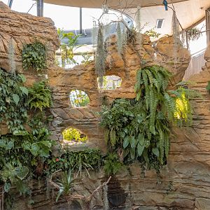 Hummingbird Habitat: Center of exhibit