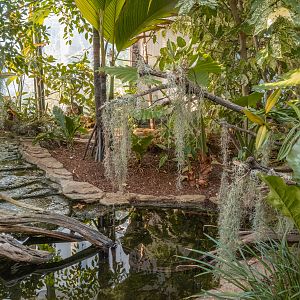 Hummingbird Habitat: Exit section