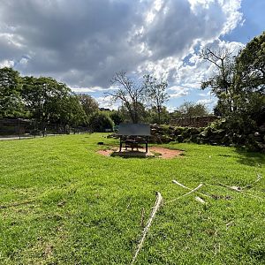 Barbary Sheep Enclosure (Ammotragus lervia)