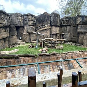 Old American Black Bear Enclosure