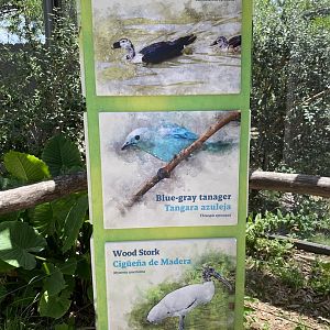 Wetland Aviary Species List