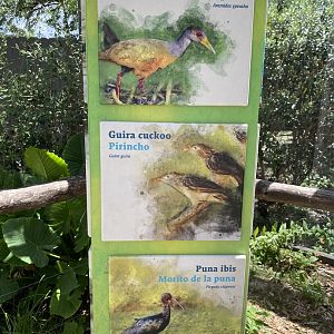 Wetland Aviary Species List