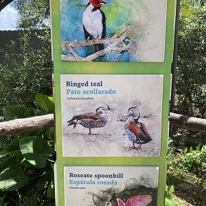 Wetland Aviary Species List
