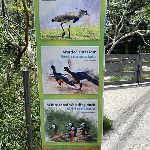 Savanna Aviary Species List