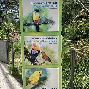 Savanna Aviary Species List