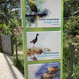 Savanna Aviary Species List