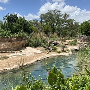 South American’s Pantanal