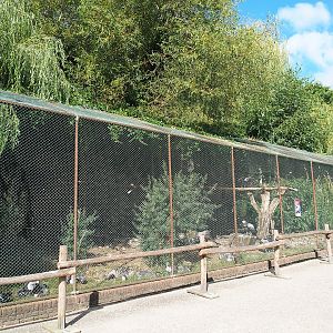 Vulture aviary, 2022-08-28