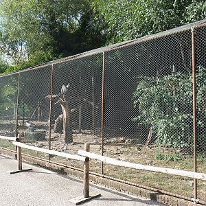 Vulture aviary, 2022-08-28