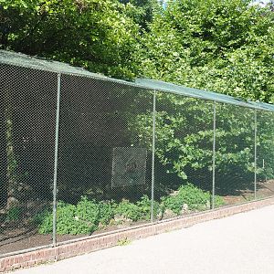 Former Steller's sea eagle aviary - Now mixed waterfowl aviary, 2022-08-28