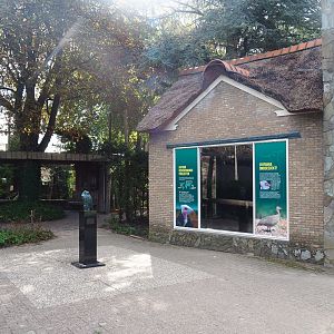 Multi-purpose house, 2022-08-28