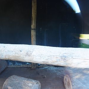 Indoor exhibit in the multi-purpose house, 2022-08-28