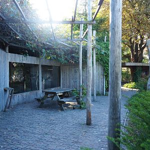 North Island brown kiwi and Laughing kookaburra exhibit viewing area, 2022-08-28