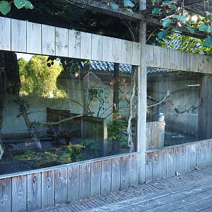 North Island brown kiwi and Laughing kookaburra exhibit, 2022-08-28