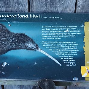 North Island brown kiwi signage, 2022-08-28
