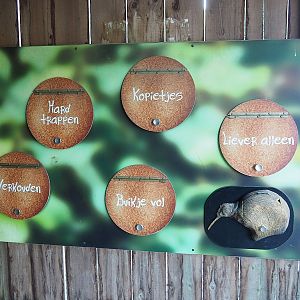 Kiwi educational signage, 2022-08-28