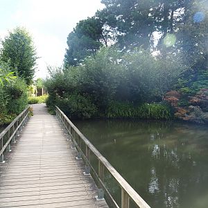 Pond and bridge towards old parrot aviaries, 2022-08-28