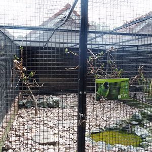 Nanday conure aviary, 2022-08-28