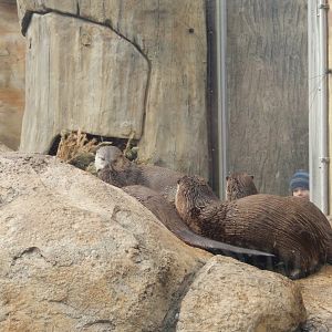 3/4/2023 - All Gathered on the Shore