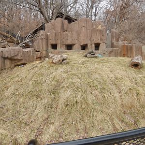 3/4/2023 - Prairie Dog Exhibit