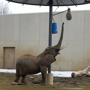 3/4/2023 - Ruth's Big Stretch